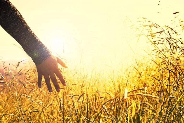 Intuition and intuitive knowing (7th September 2023)